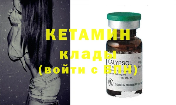 крисы Алзамай