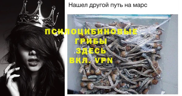 крисы Алзамай