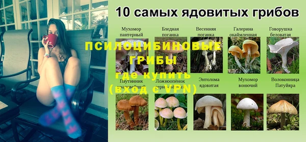 твердый Алексин