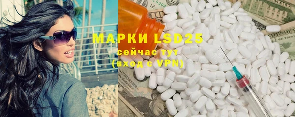 крисы Алзамай
