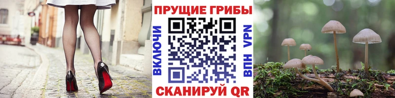 Псилоцибиновые грибы мухоморы  Игра 